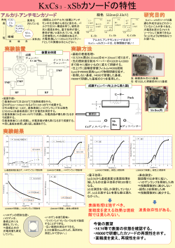 PDF version - Meguro Lab