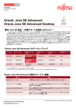 Oracle Java SE Advanced