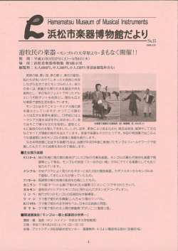 Hamam帥Su Museum 。f Musicaー ーnstrumems