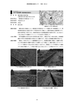 西平地遺跡 - 愛知県埋蔵文化財センター