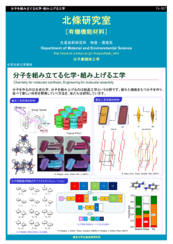北條研究室 - 東京大学生産技術研究所