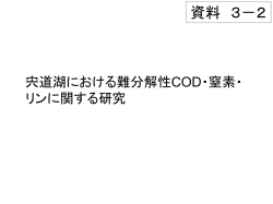 資料 ( しりょう ) 3-2