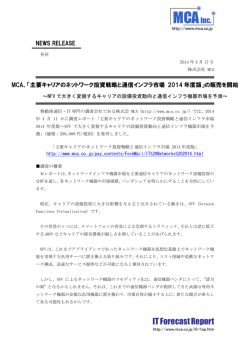 IT Forecast Report