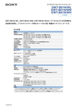 DWT-B01N/WL DWT-B01N/WM DWT