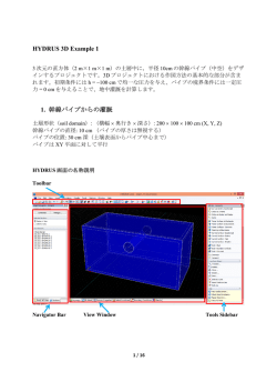 HYDRUS 3D Example 1 1. 幹線パイプからの灌漑