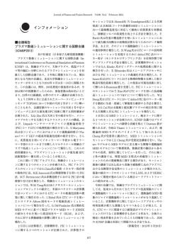 プラズマ数値シミュレーションに関する国際会議（ICNSP2013）