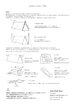 ZP instruction jp