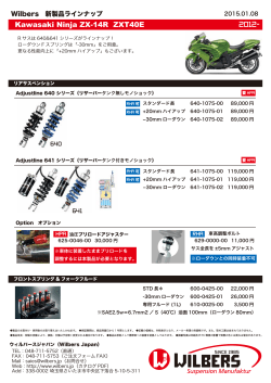 Kawasaki Ninja ZX-14R ZXT40E 2012-