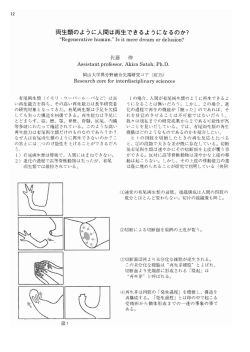 両生類のように人間は再生できるようになるのか?