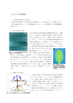 Tatsuya Sakai (2002) Signaling pathways activated by blue light