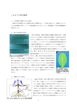 Tatsuya Sakai (2002) Signaling pathways activated by blue light