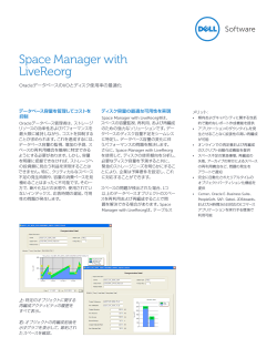 Space Manager with LiveReorg