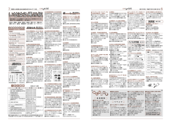 PDF：392KB