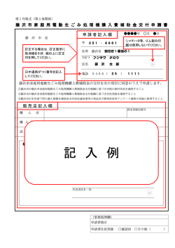 記 入 例
