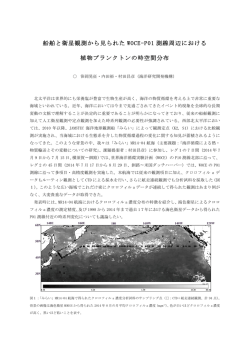 船舶と衛星観測から見られた WOCE-P01 測線周辺における
