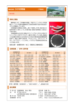 概要 (PDF : 382KB)