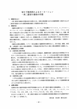 切り下株利用によるカーネーショ ンー 一斉二度切り栽培の作型&rdquo;