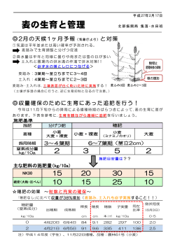 Taro-H27.2.5 生育と管理
