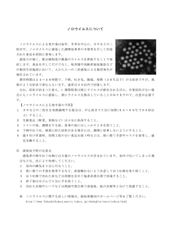 ノロウイルスについて