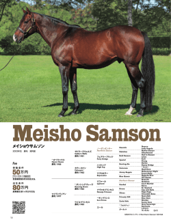 メイショウサムソン 50万円 80万円