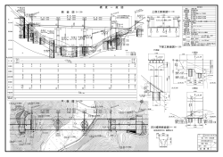 側 面 図 平 面 図 S=1:300 橋 梁 一 般 図 河川標準断面図 S=1:100