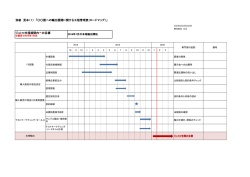 別紙 見本（1） 「国への輸出展開に関する工程管理表（ロード