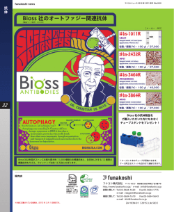 Bioss 社のオートファジー関連抗体