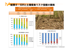 結果④：SDRと土壌侵食リスク指標の関係