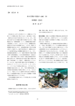 林木育種の現場の ABC（9） 採種園（造成）