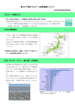 東よか干潟のラムサール条約登録について ラムサール条約とは