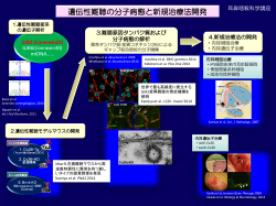 遺伝性難聴の分子病態と新規治療法開発