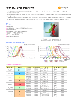 蛍光タンパク質発現ベクター