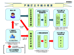 訂正許可審判手続 職 権 訂 正 手 続;pdf