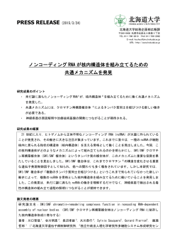 （遺伝子病制御研究所 教授 廣瀬哲郎）（PDF）;pdf