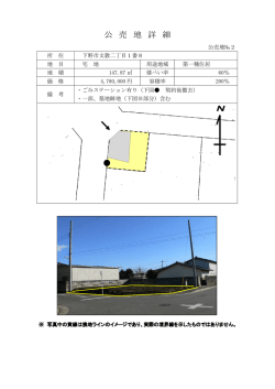 公 売 地 詳 細;pdf