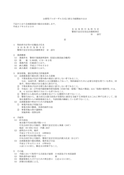 国家公務員総合職用;pdf
