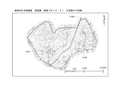 成田市生き物調査 図面集 調査ブロック 21．大須賀川下流域