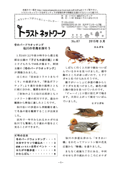 仙川の冬鳥を探そう No.67 2015年3月