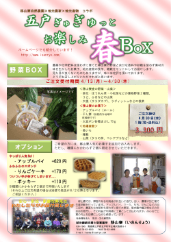 野菜BOX - 社会福祉法人 生活・文化研究所 移山寮