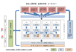 自然科学系コースツリー - 京都大学総合人間学部 京都大学大学院人間