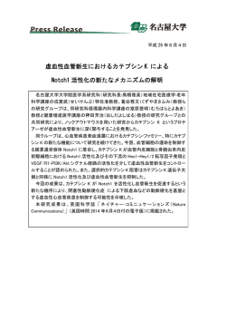 虚血性血管新生におけるカテプシン K による Notch1 活性