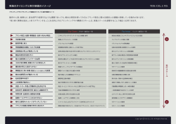 実施のタイミングと実行規模のイメージ TDS C。-,LTD