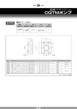 QG T 12 A