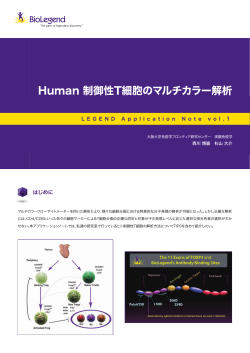 Human 制御性T細胞のマルチカラー解析