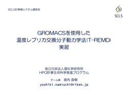 GROMACSを使用した 温度レプリカ交換分子動力学法(T