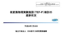 核変換物理実験施設（TEF