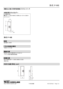形式：P-M8 - M