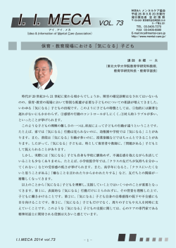 I．I．MECA VOL. 73