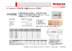 フィッシャープラグ S 元祖フィッシャープラグ