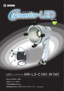 LEDハンドライトMK-L3